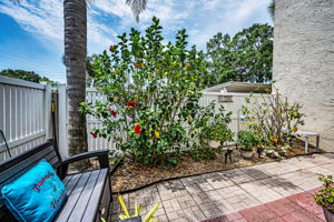 Patio2