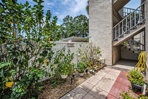 Patio3