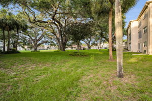 Backyard3