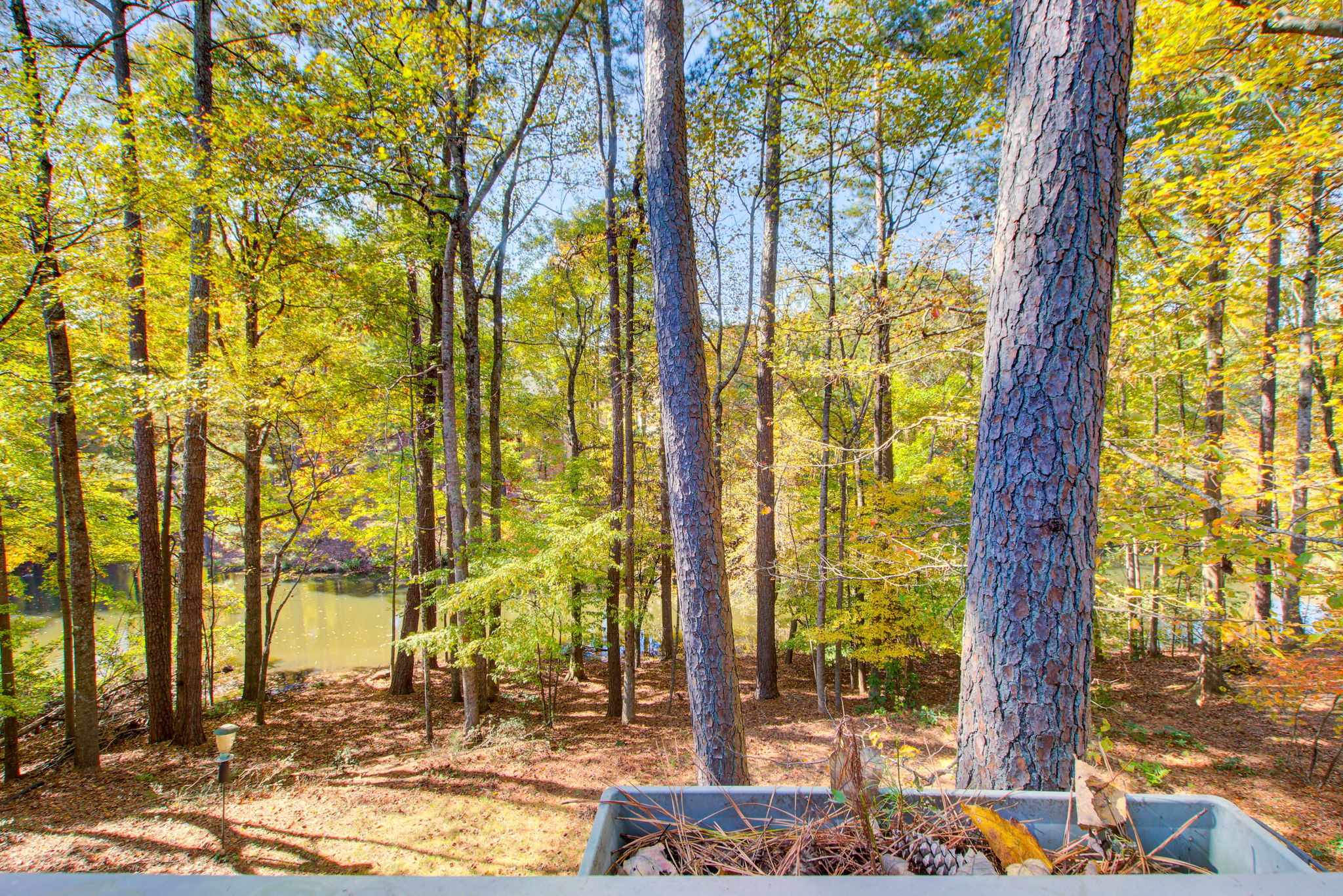 10 Ext Back Yard View Deck