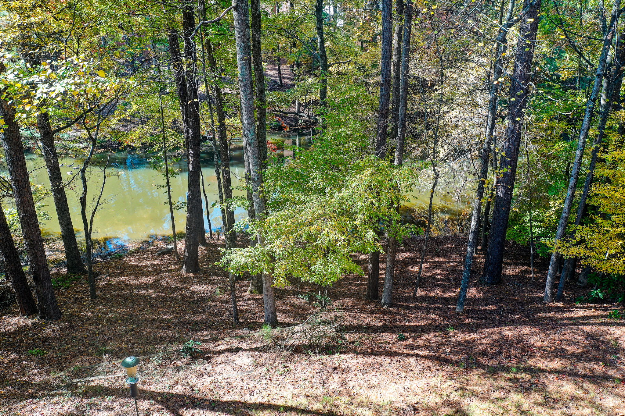 74 Aerial Back Yard A