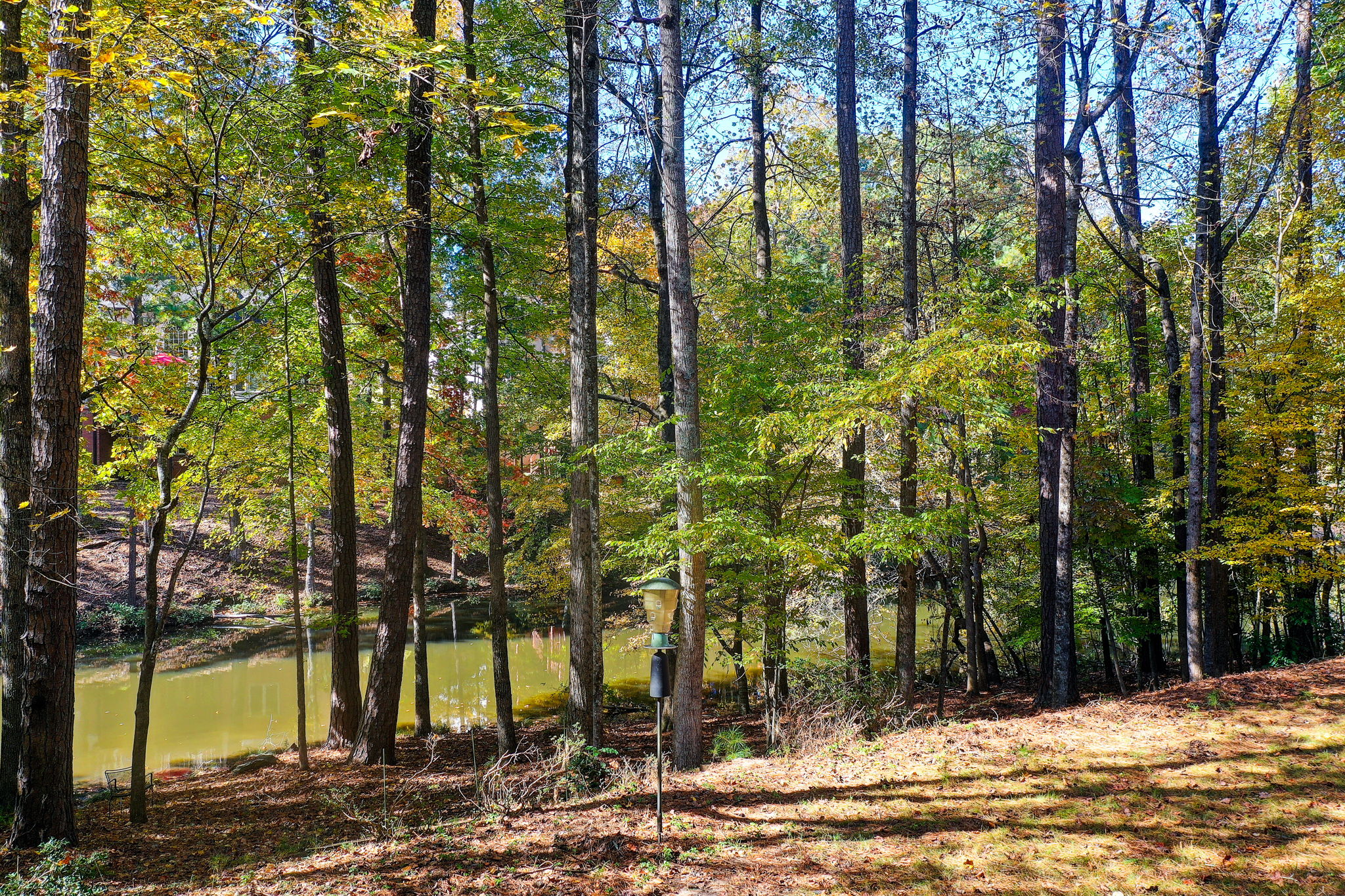 75 Aerial Back Yard B