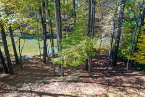 74 Aerial Back Yard A