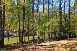 75 Aerial Back Yard B