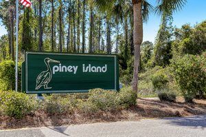 Piney Island