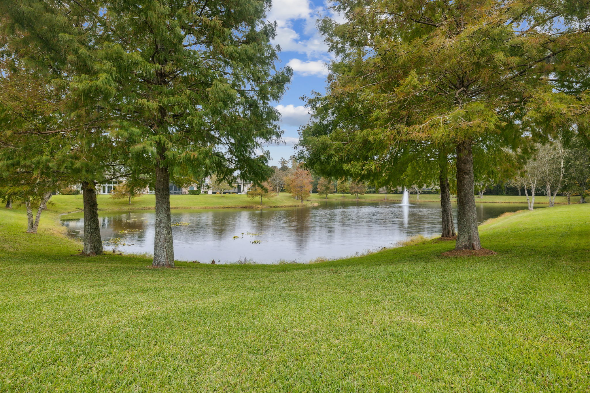 Serene Pond View