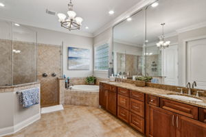 Primary Suite Bath