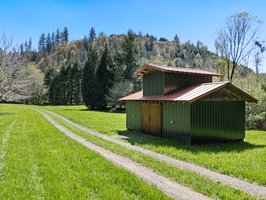 Photo 39