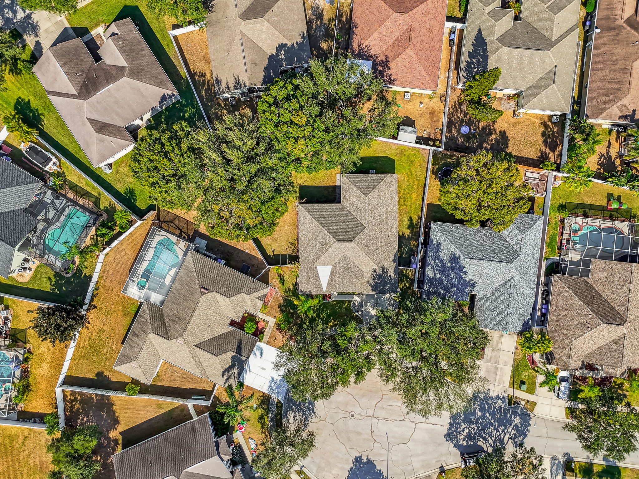 DJI_20251119120030_0783_D