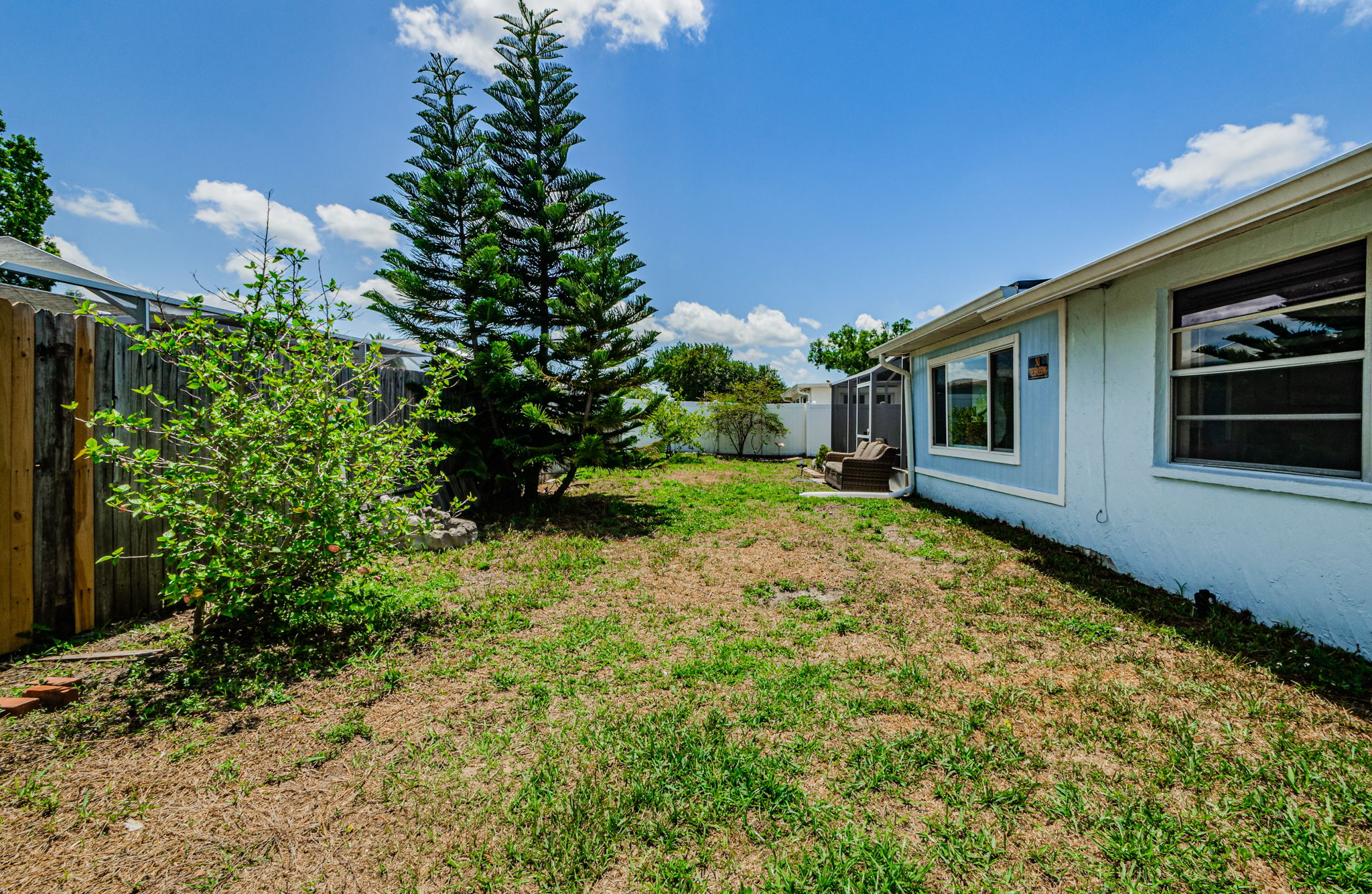 Back Yard 1A