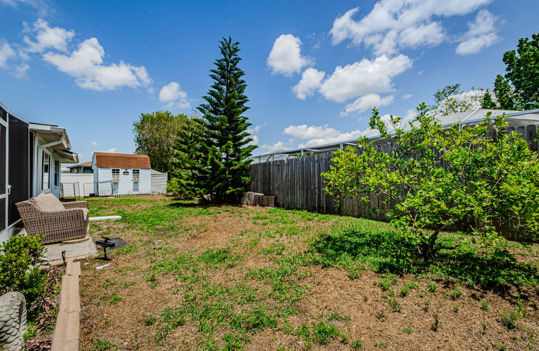 Back Yard 1B