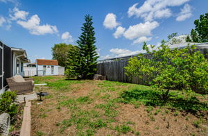 Back Yard 1B