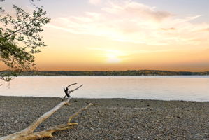  Photo 159