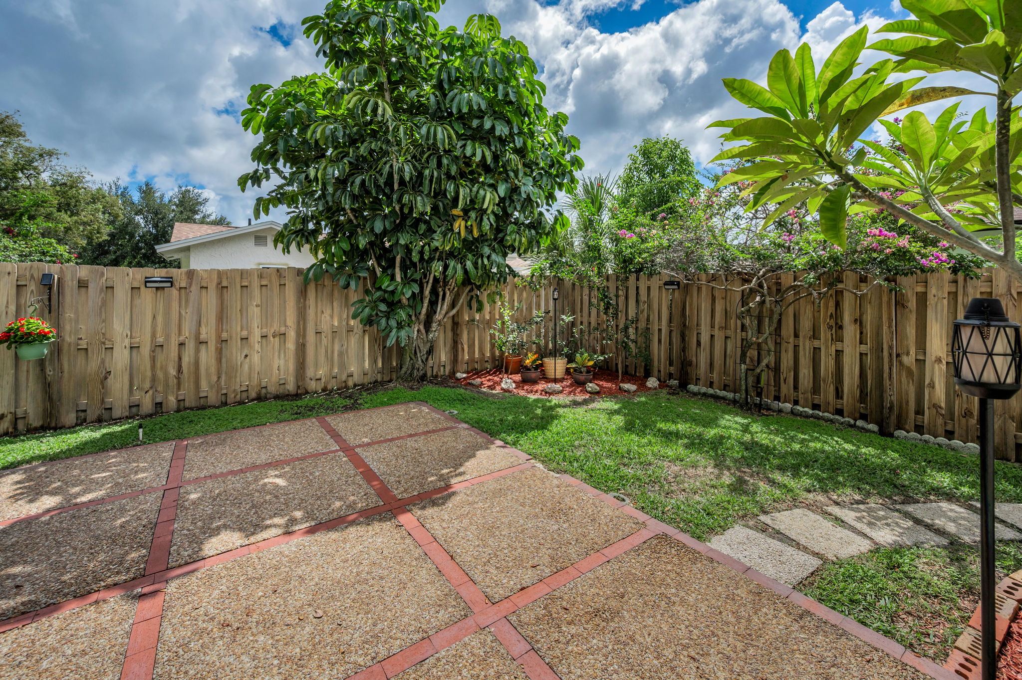 Backyard2
