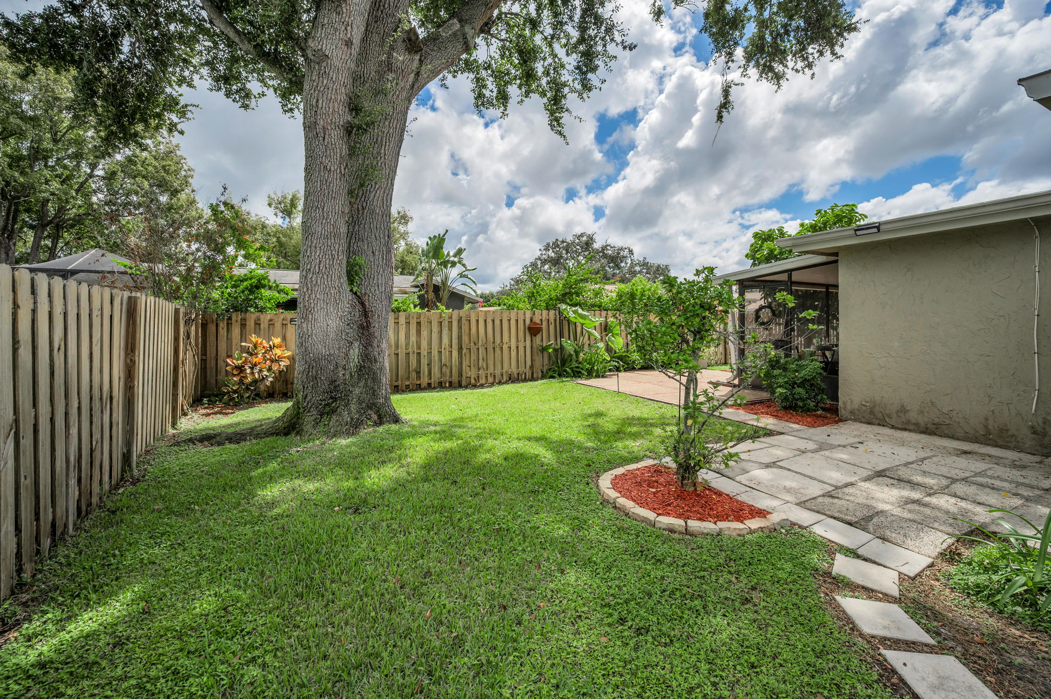 Backyard9