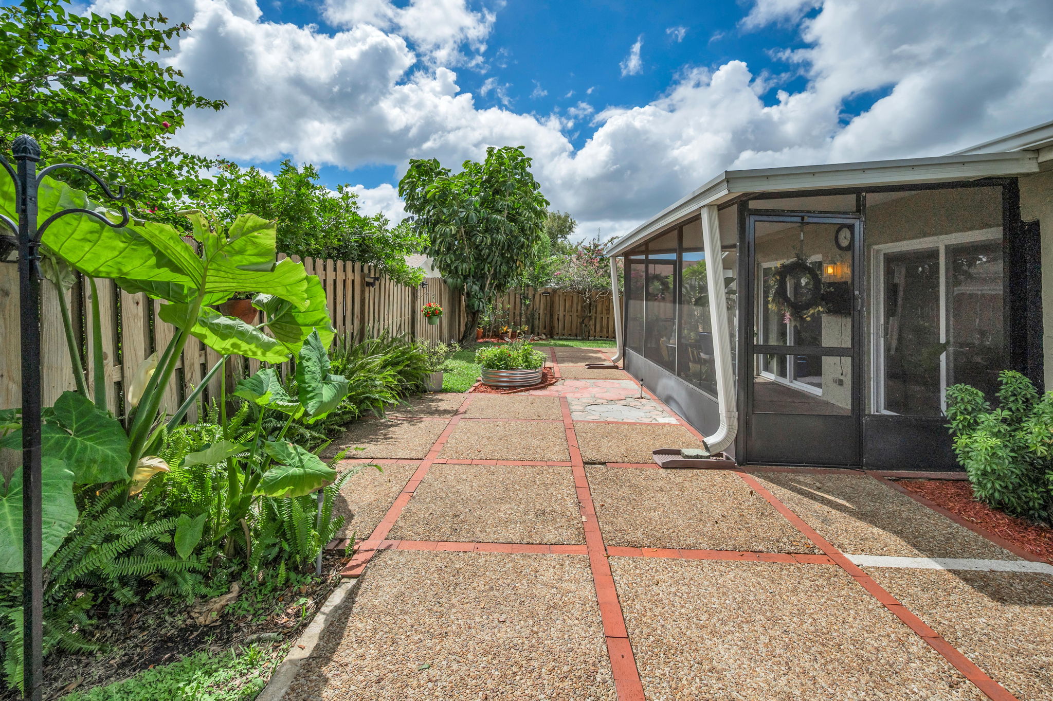 Backyard10
