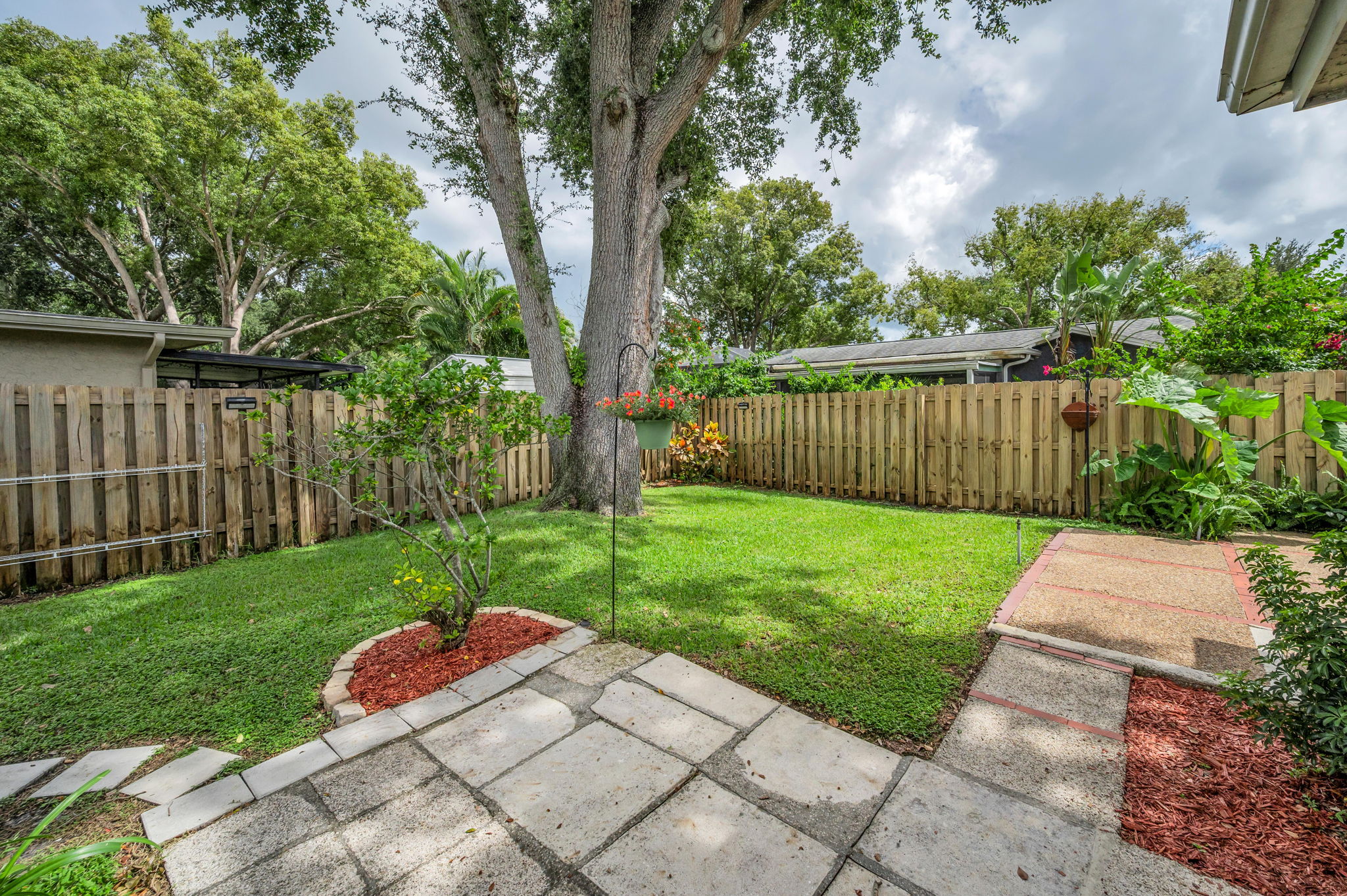 Backyard11