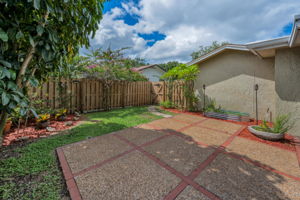 Backyard1