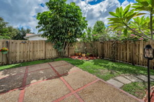 Backyard2