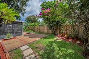 Backyard3
