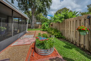 Backyard5