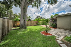 Backyard9