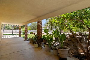  Photo 37