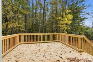 921 Marshall Fuller Rd, Dallas, GA 30157, USA Photo 24