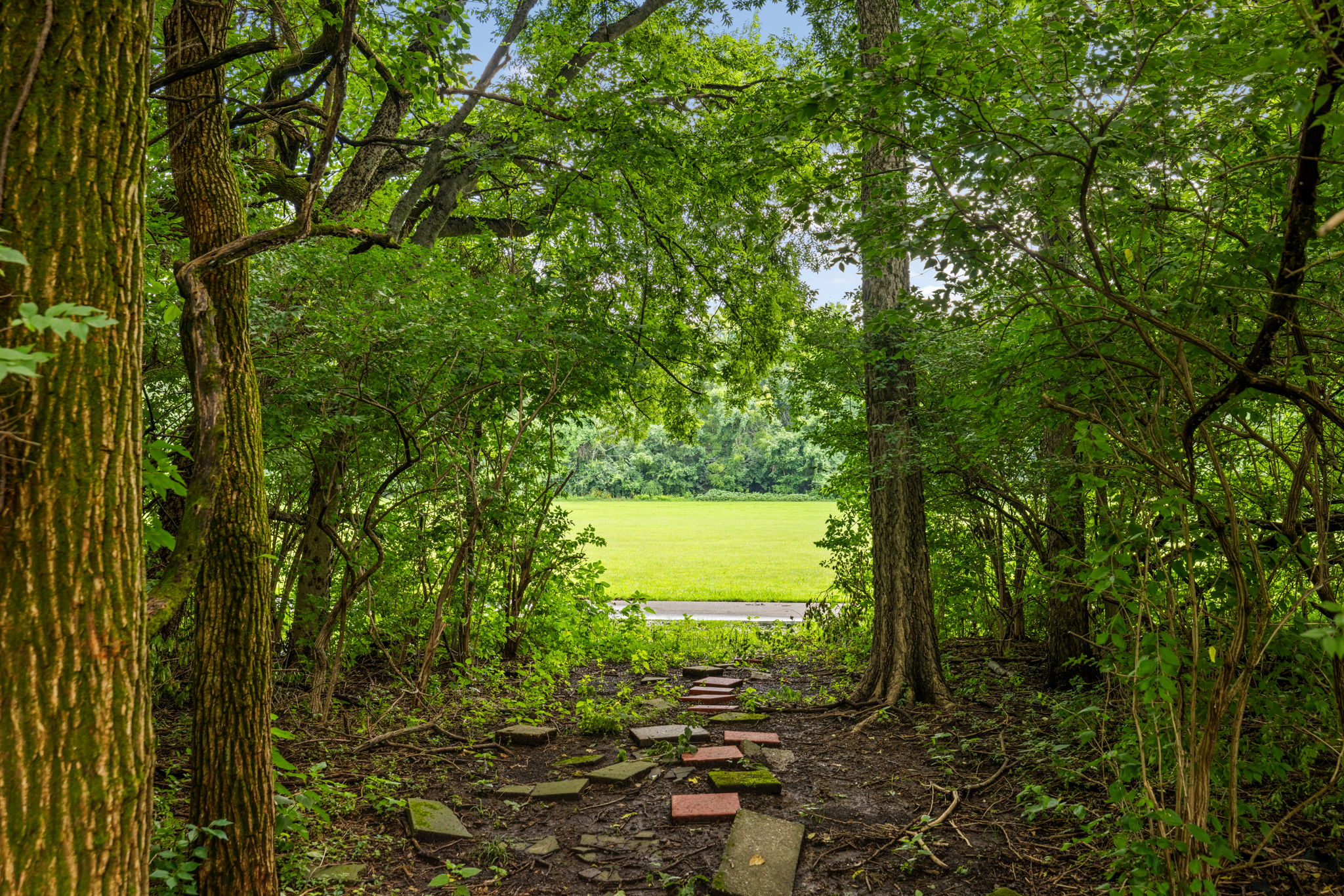  Photo 45