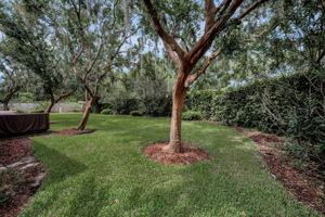 Yard1