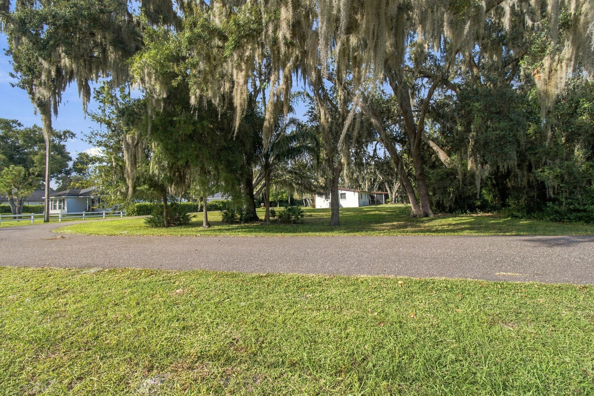 DSC_3436