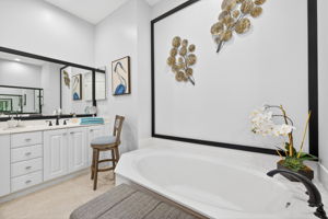 Primary Bathroom 2