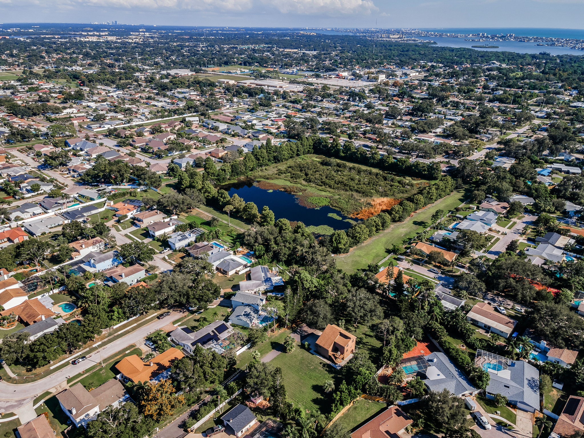 Aerial (24)