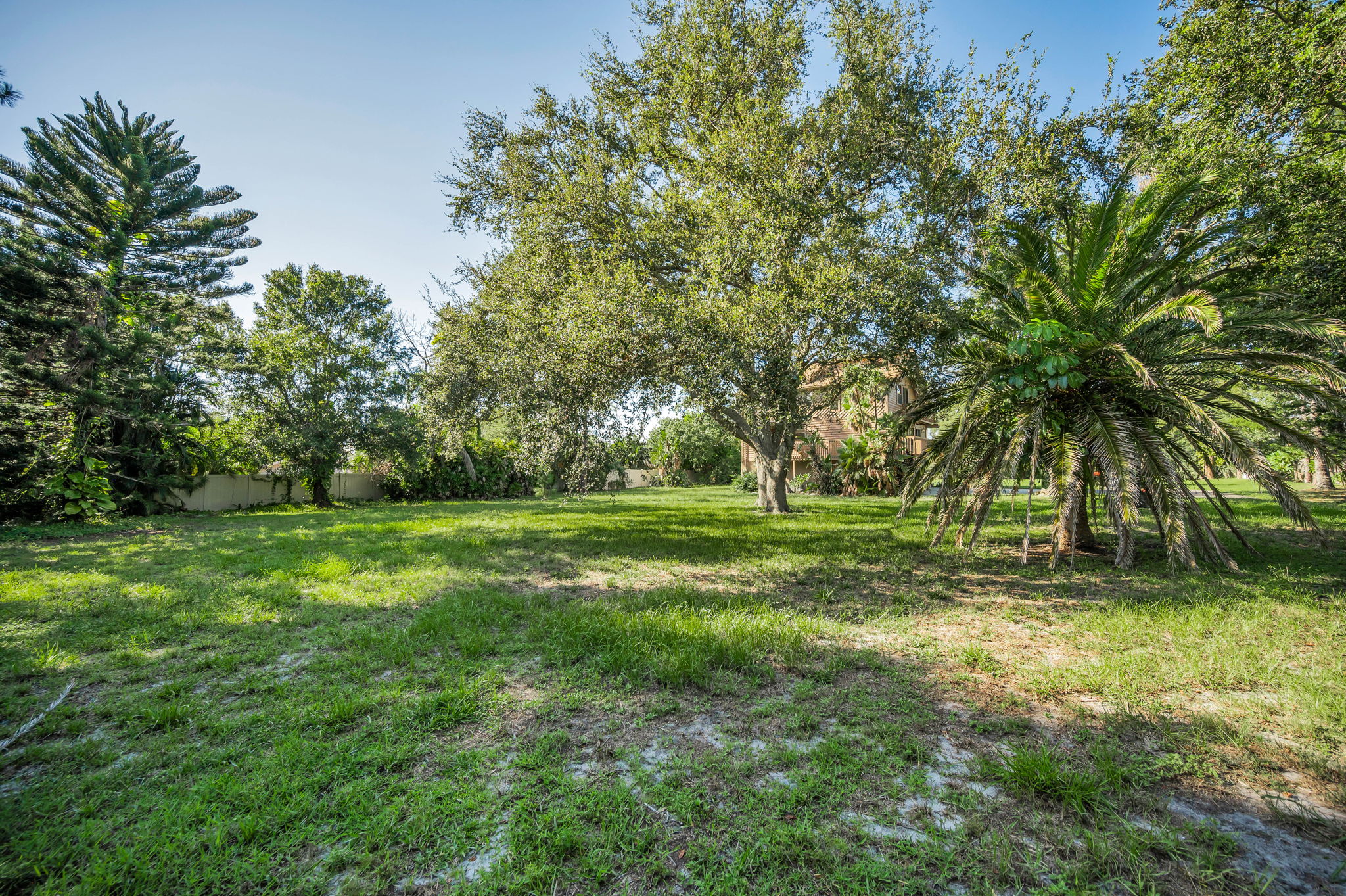 Backyard2