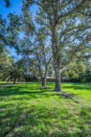 Backyard6