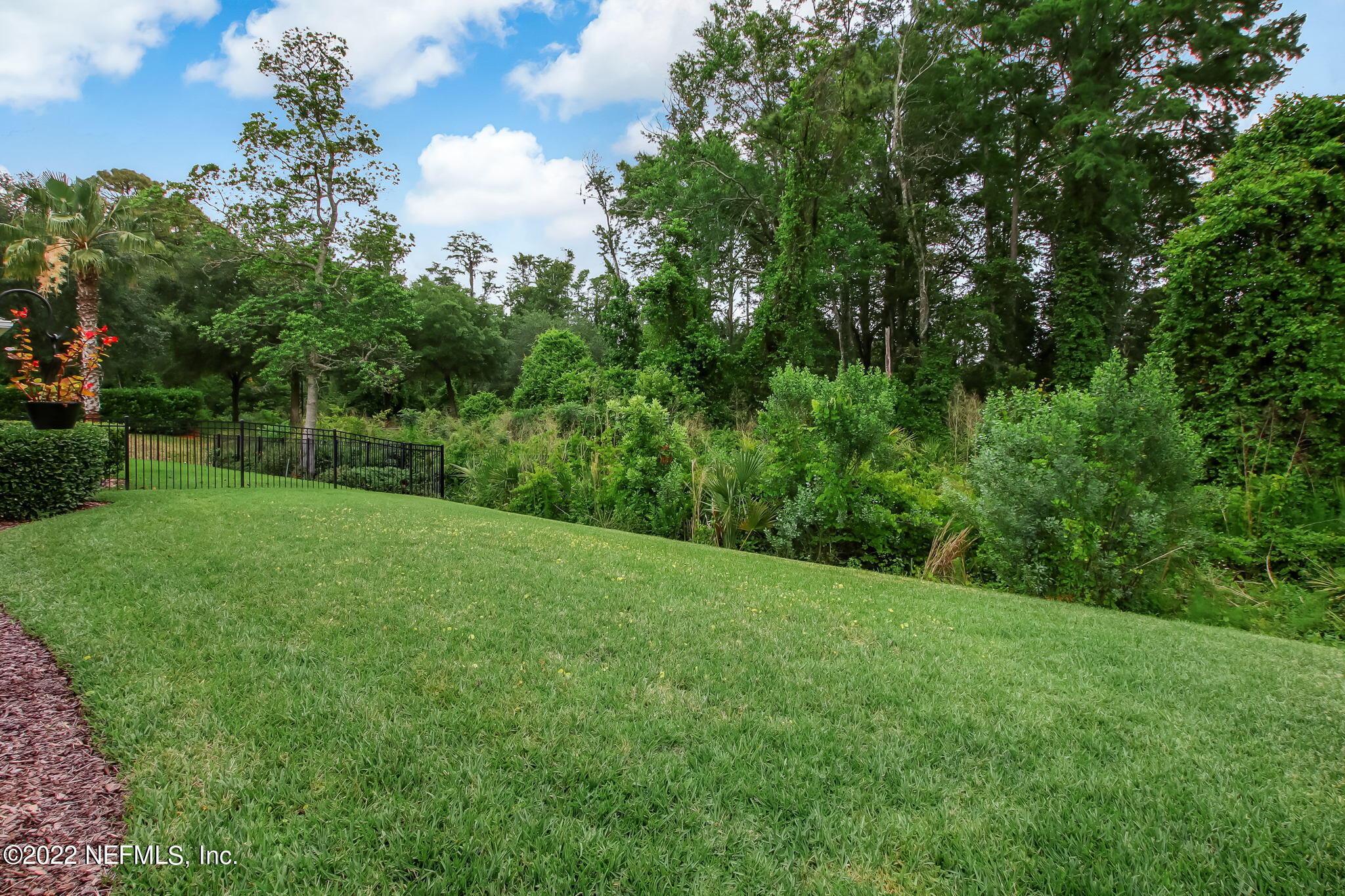 Backyard overlooking Nature Preserve