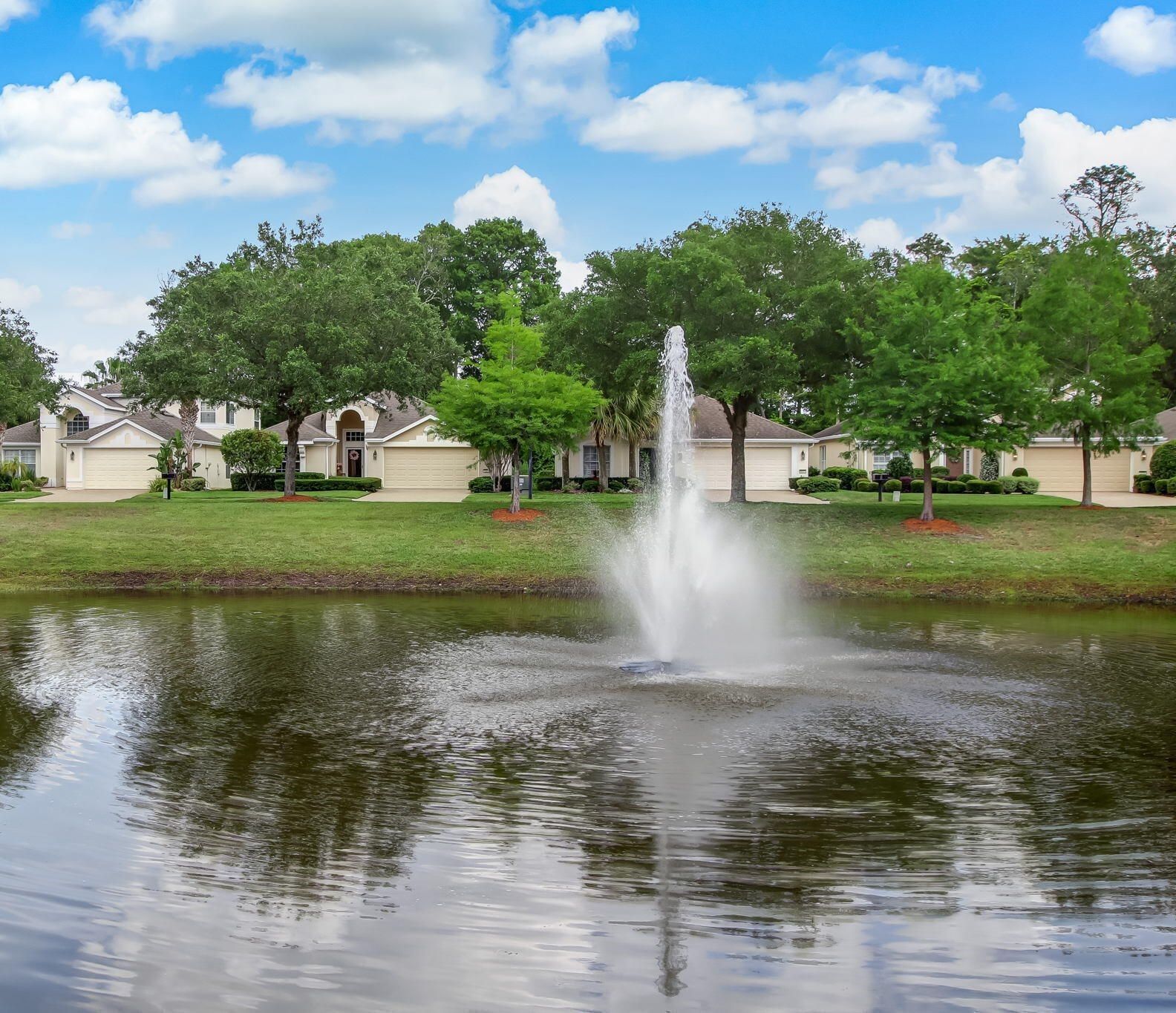 Pond & Fountain View