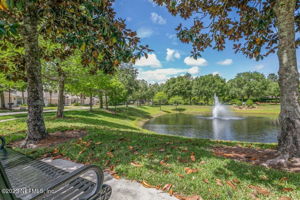 Pond/Fountain View