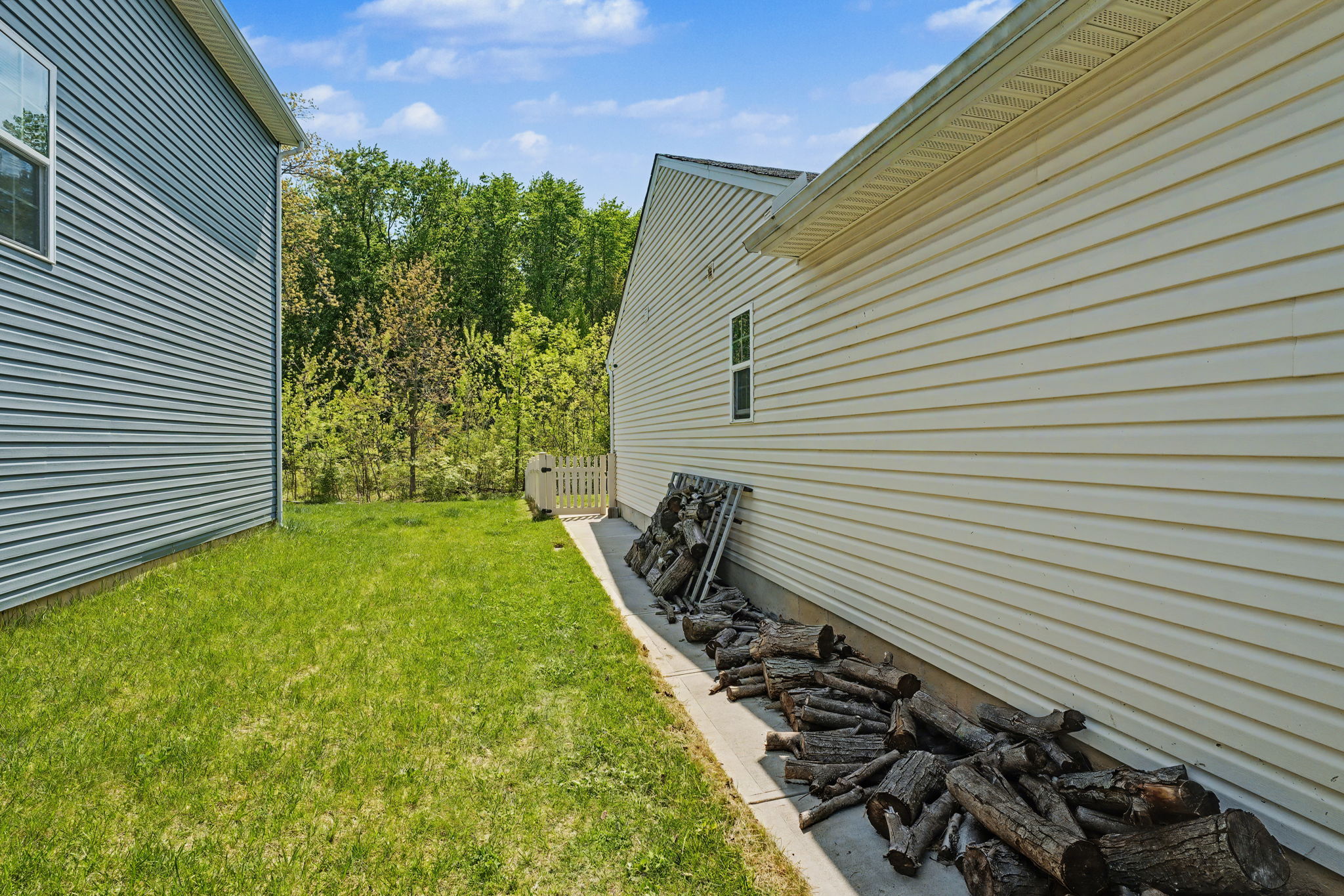  Photo 56