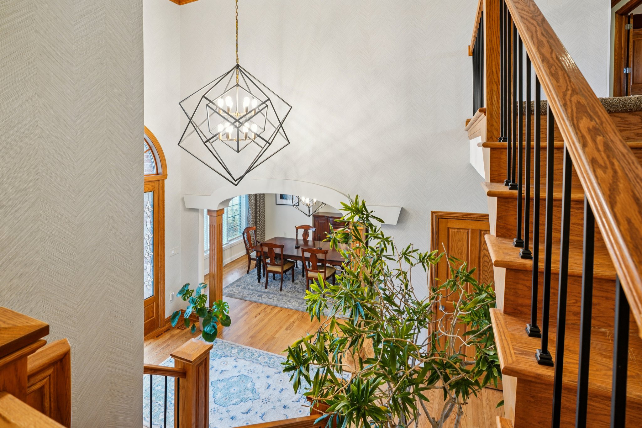 Evergreen Cir-S0603-024.jpg