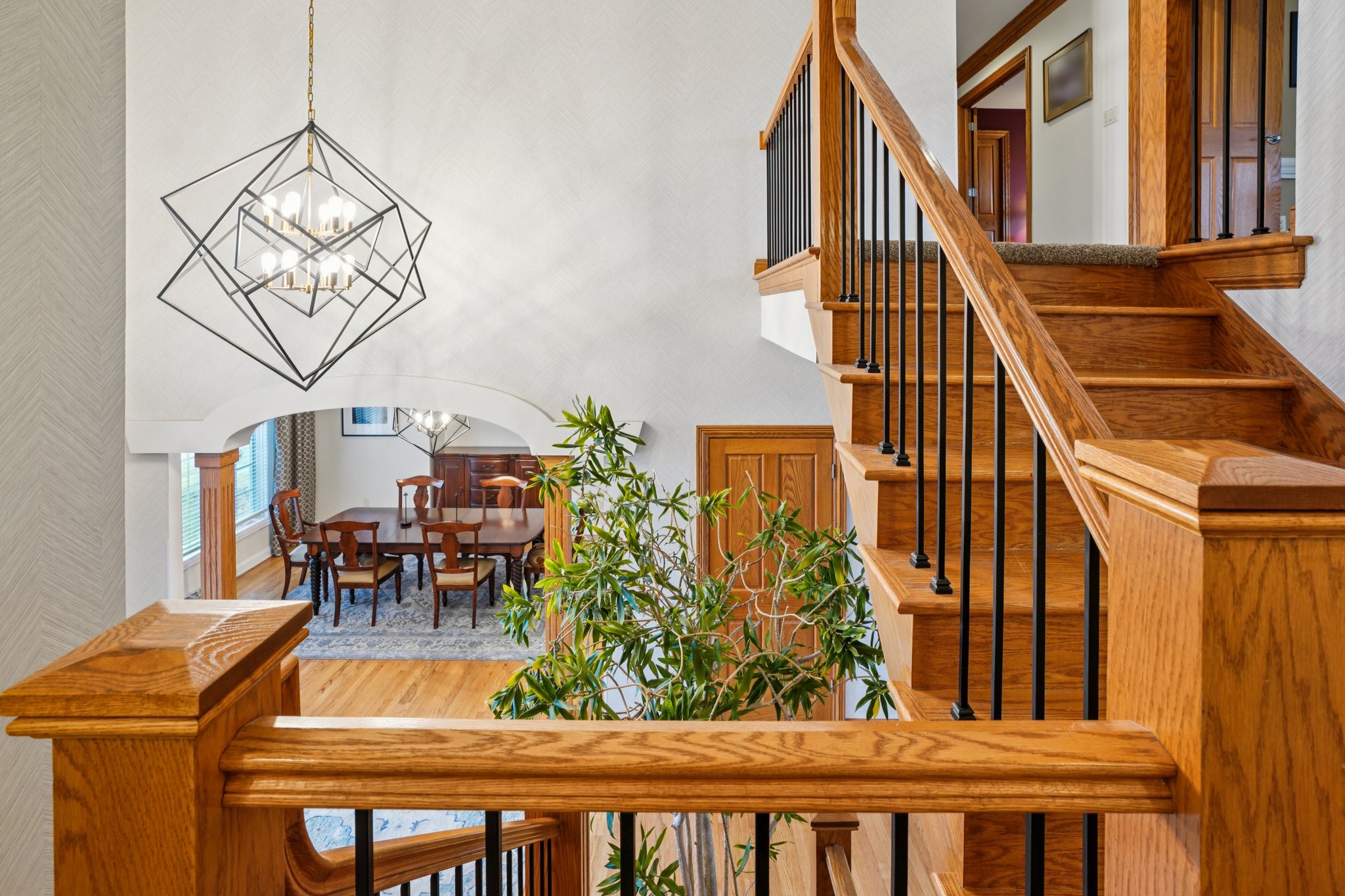 Evergreen Cir-S0603-025.jpg