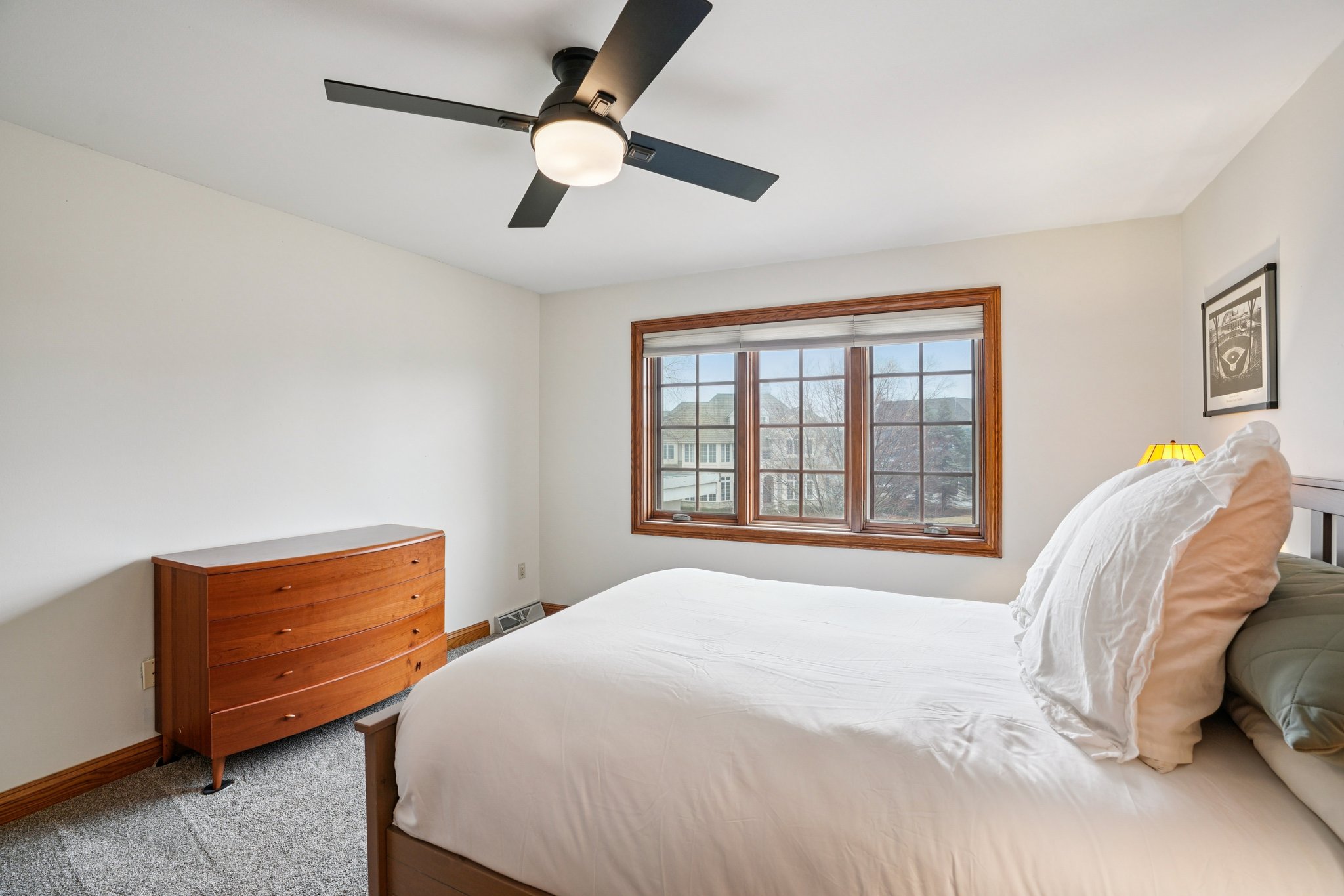 Evergreen Cir-S0603-097.jpg