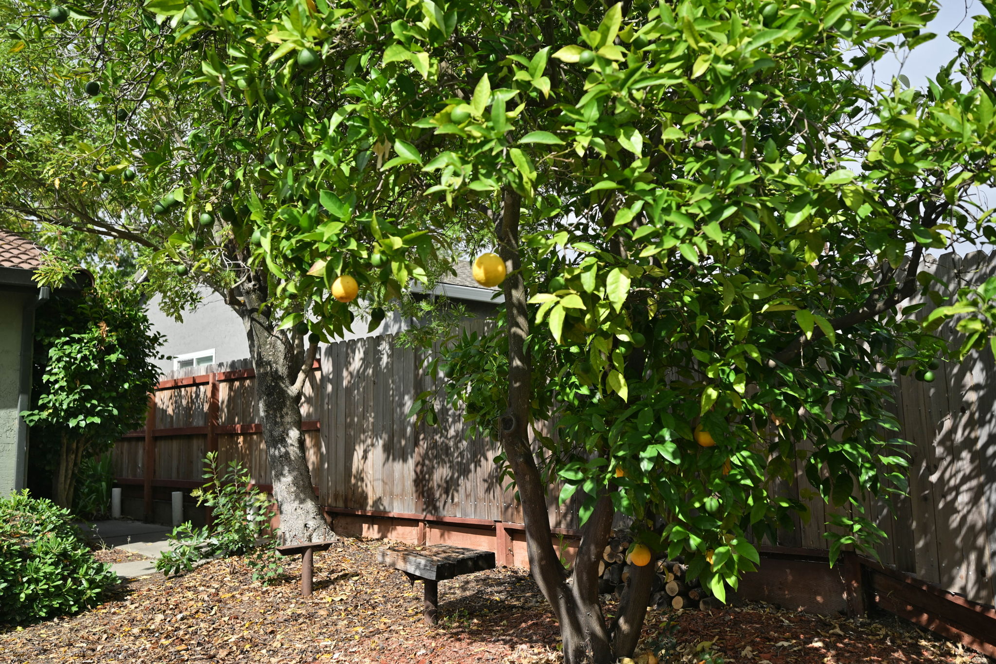  Photo 31