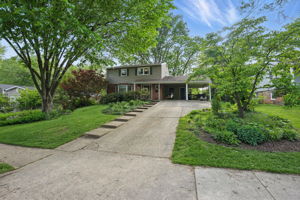  Photo 0