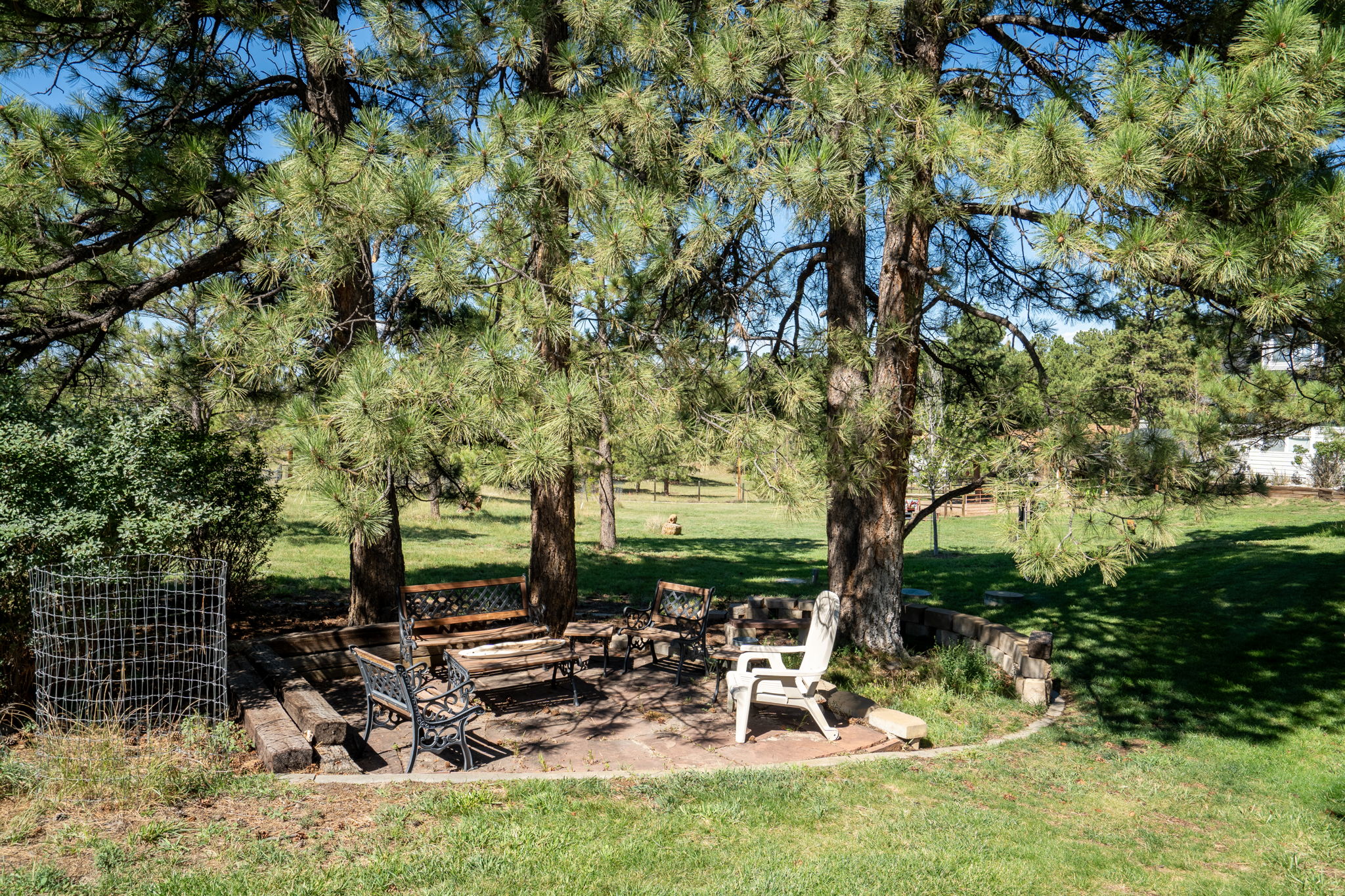 Designated sitting area among the pines.