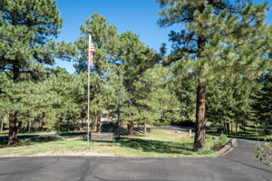 View from the driveway.