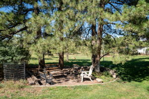 Designated sitting area among the pines.