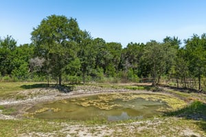 County Road 272-S0507-076.jpg