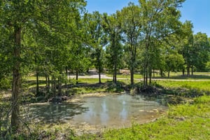 County Road 272-S0507-078.jpg