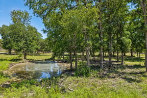 County Road 272-S0507-079.jpg